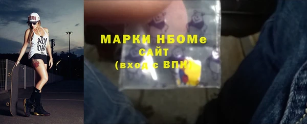 ECSTASY Алзамай