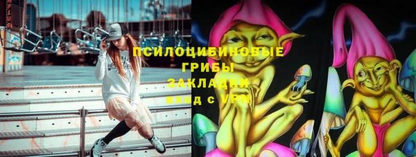 ECSTASY Алзамай